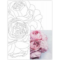 Полотно на картоні Rosa з контуром Натюрморт № 29 30 x 40 см
