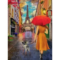 Полотно на картоні Rosa з контуром Міста Париж № 7 30 x 40 см