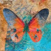 Полотно на картоні Rosa з контуром Butterfly № 1 30 x 30 см