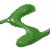 Зеленый травяной (1609046)