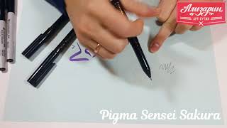 Видео обзор лайнеров Pigma Sensei Sakura